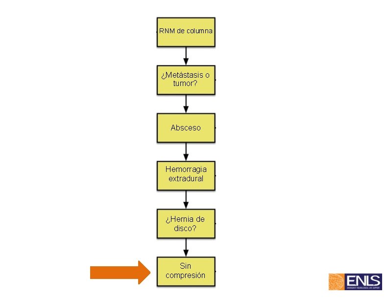 RNM de columna ¿Metástasis o tumor? Absceso Hemorragia extradural ¿Hernia de disco? Sin compresión