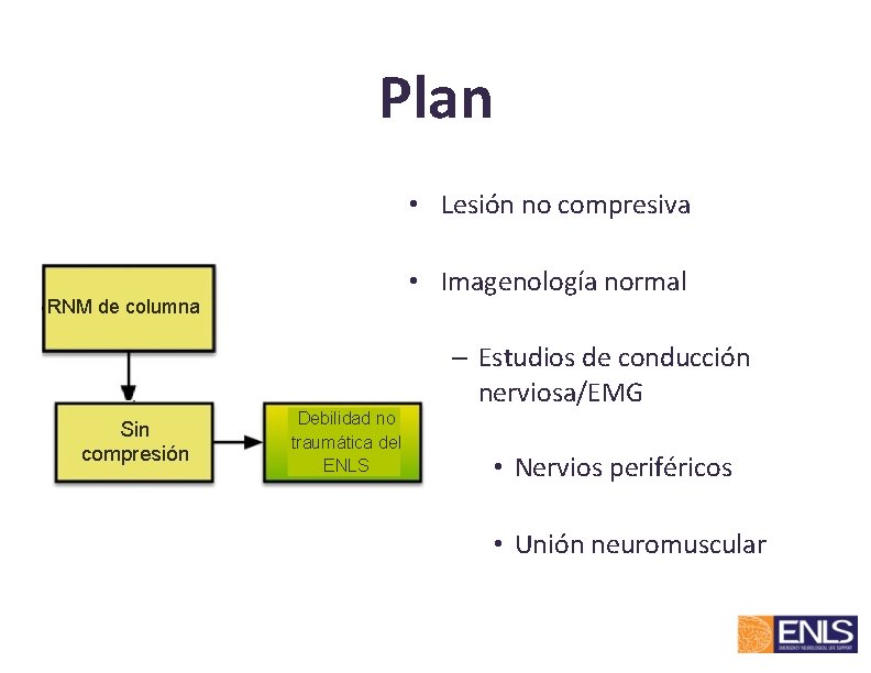 Plan • Lesión no compresiva • Imagenología normal RNM de columna – Estudios de