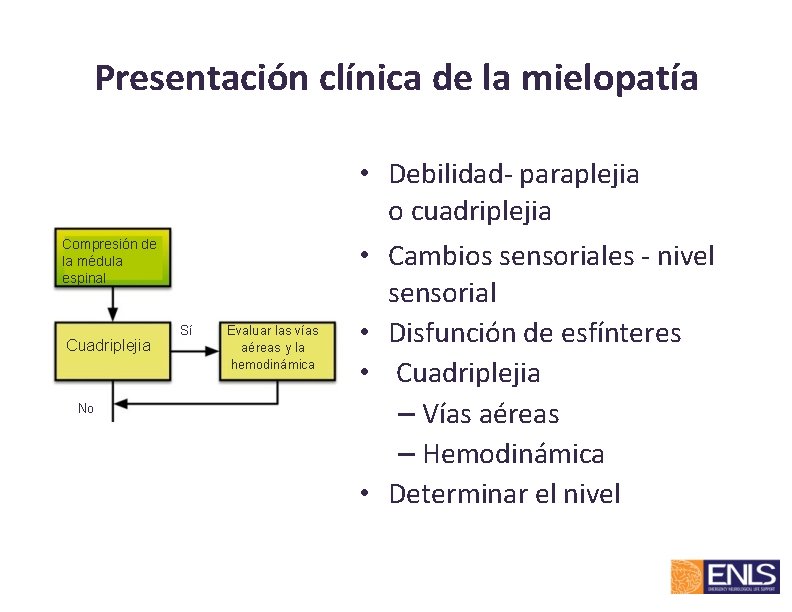 Presentación clínica de la mielopatía Compresión de la médula espinal Cuadriplejia No Sí Evaluar