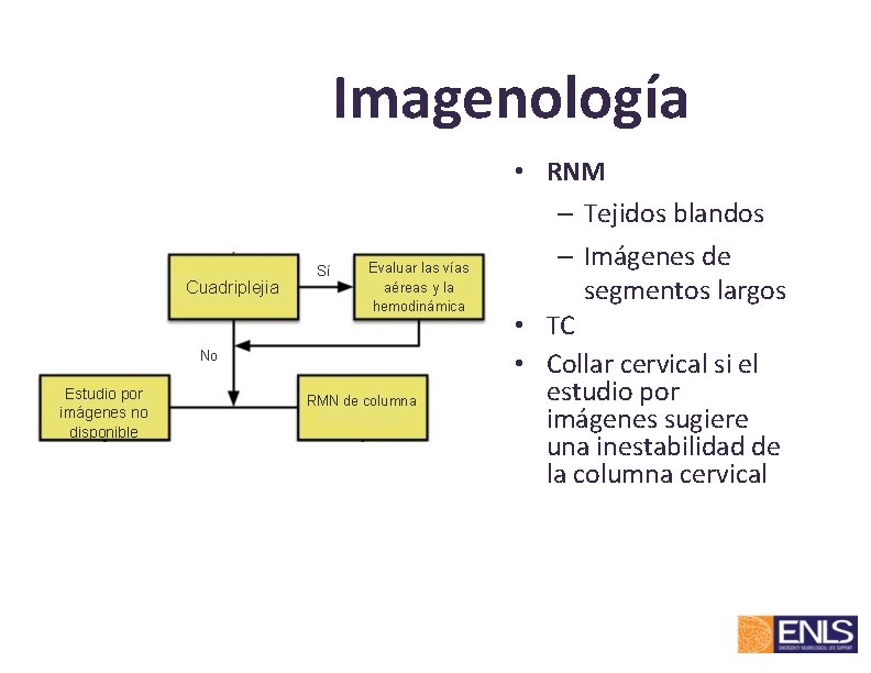 Imagenología Cuadriplejia Sí Evaluar las vías aéreas y la hemodinámica No Estudio por imágenes