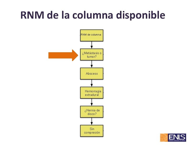 RNM de la columna disponible RNM de columna ¿Metástasis o tumor? Absceso Hemorragia extradural