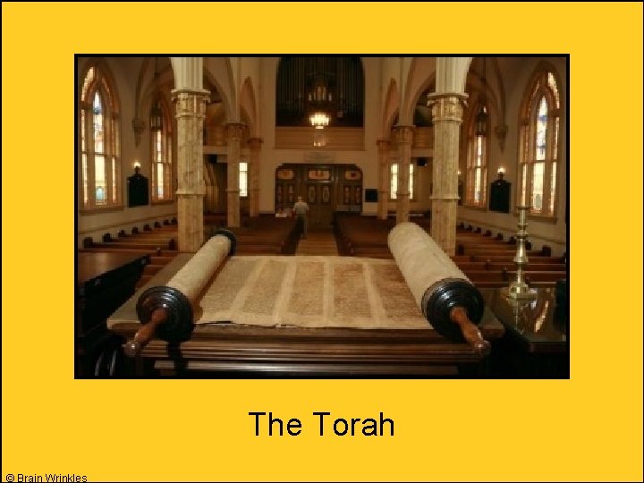 The Torah © Brain Wrinkles 