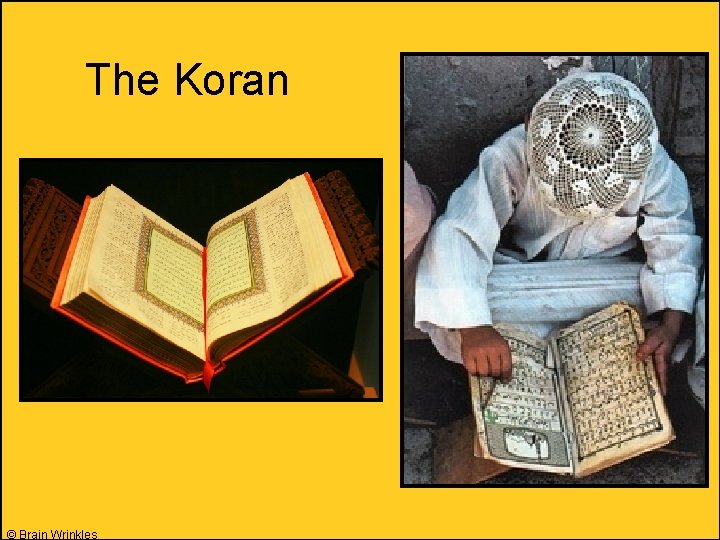 The Koran © Brain Wrinkles 