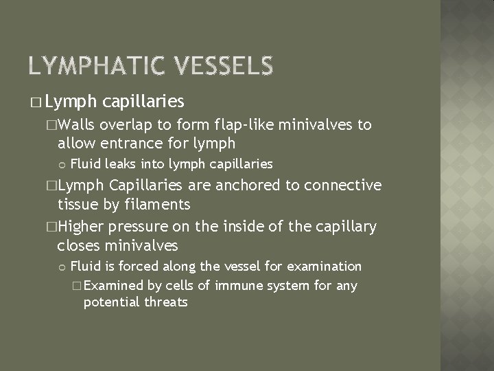 � Lymph capillaries �Walls overlap to form flap-like minivalves to allow entrance for lymph