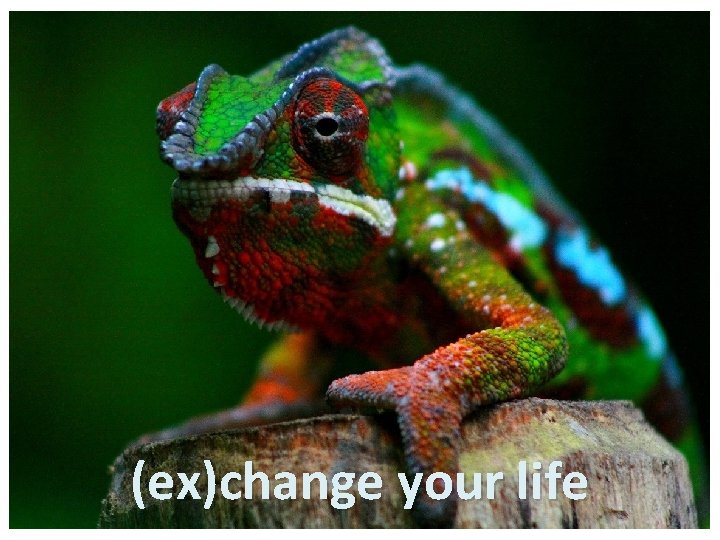 (ex)change your life 