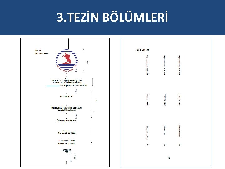 3. TEZİN BÖLÜMLERİ 