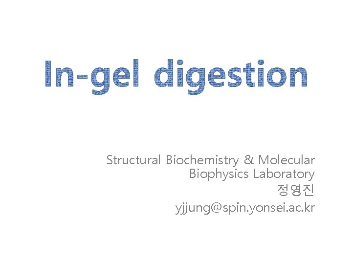 Structural Biochemistry & Molecular Biophysics Laboratory 정영진 yjjung@spin. yonsei. ac. kr 