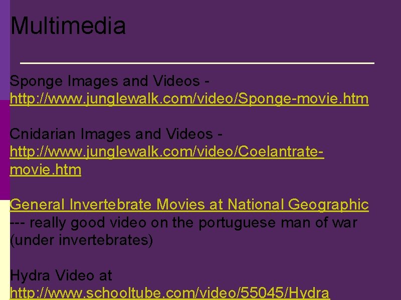 Multimedia Sponge Images and Videos http: //www. junglewalk. com/video/Sponge-movie. htm Cnidarian Images and Videos