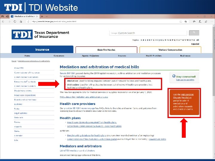TDI Website 