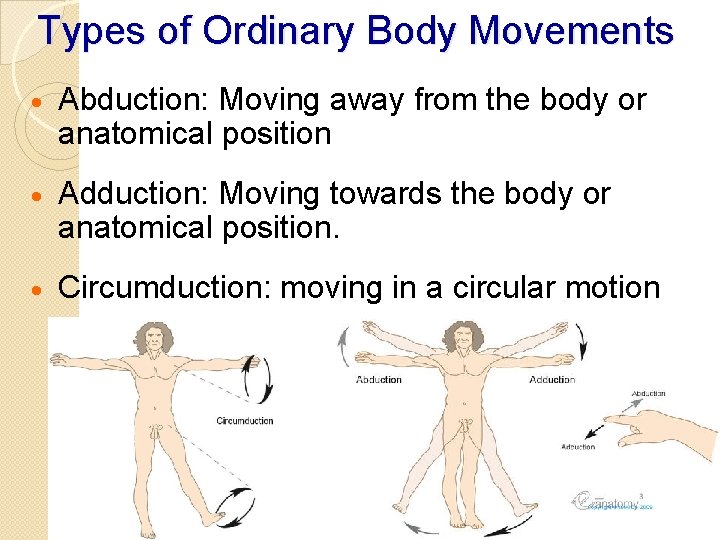 Types of Ordinary Body Movements · Abduction: Moving away from the body or anatomical