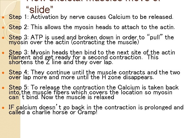 How skeletal muscles move or “slide” · Step 1: Activation by nerve causes Calcium
