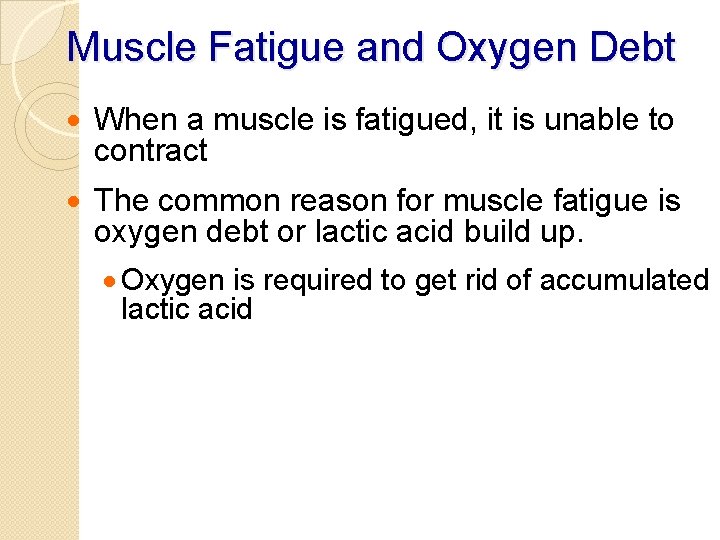 Muscle Fatigue and Oxygen Debt · When a muscle is fatigued, it is unable