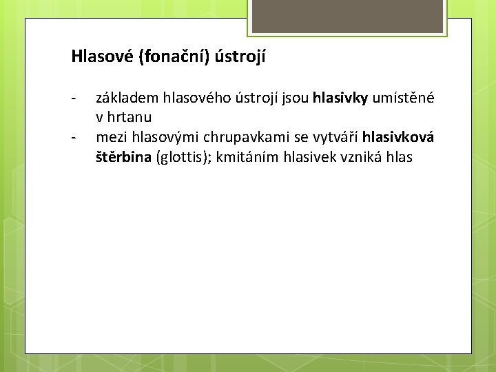 Hlasové (fonační) ústrojí - základem hlasového ústrojí jsou hlasivky umístěné v hrtanu mezi hlasovými