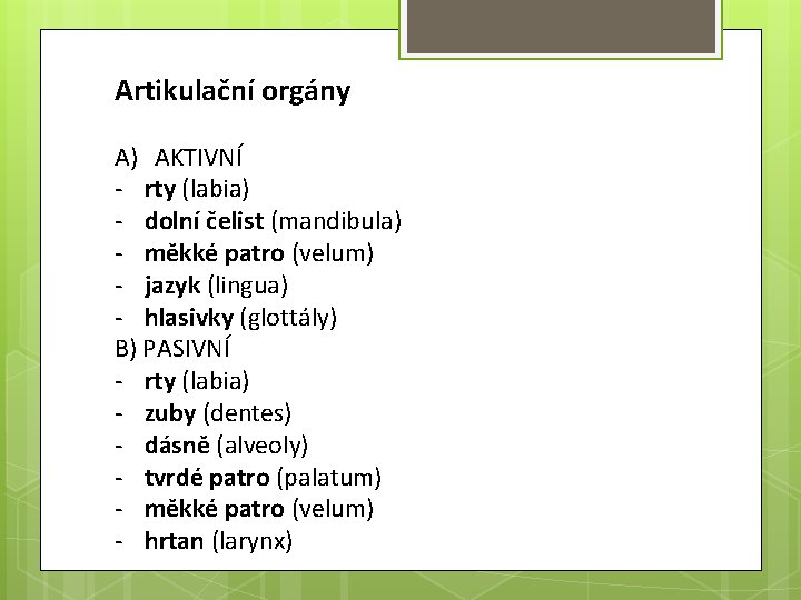 Artikulační orgány A) AKTIVNÍ - rty (labia) - dolní čelist (mandibula) - měkké patro