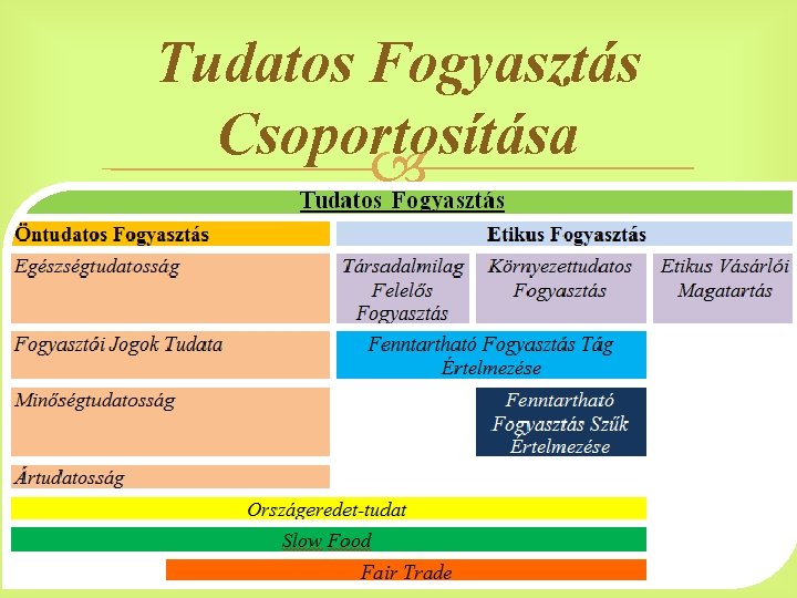 Tudatos Fogyasztás Csoportosítása 14 