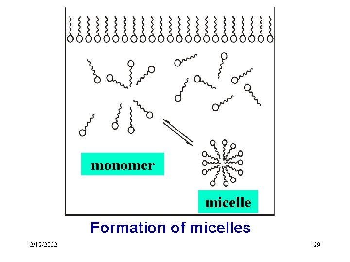 monomer micelle Formation of micelles 2/12/2022 29 