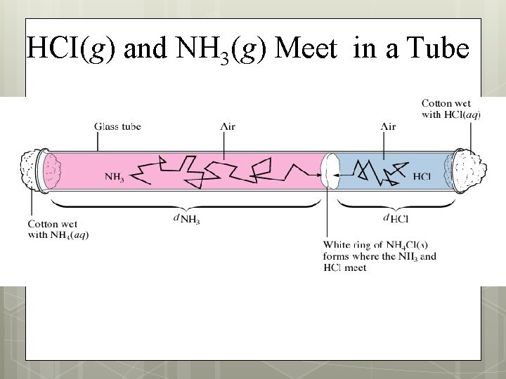 HCI(g) and NH 3(g) Meet in a Tube 