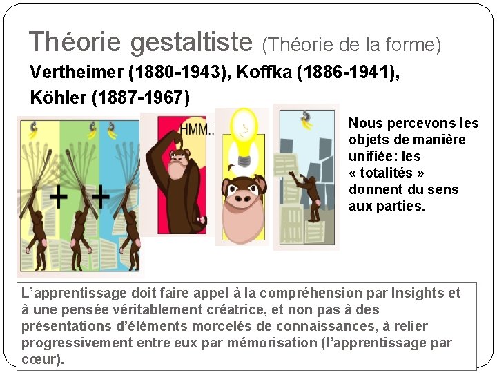 Théorie gestaltiste (Théorie de la forme) Vertheimer (1880 -1943), Koffka (1886 -1941), Köhler (1887