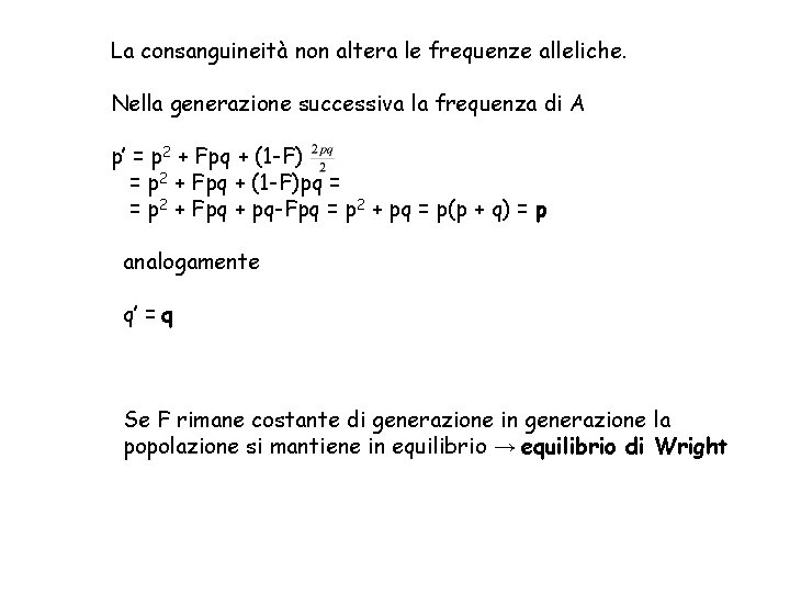 La consanguineità non altera le frequenze alleliche. Nella generazione successiva la frequenza di A