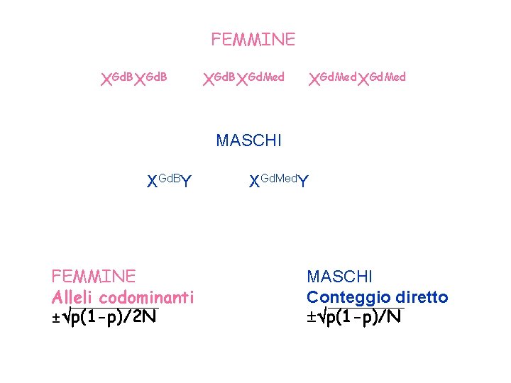 FEMMINE XGd. BXGd. Med MASCHI XGd. BY FEMMINE Alleli codominanti ± p(1 -p)/2 N