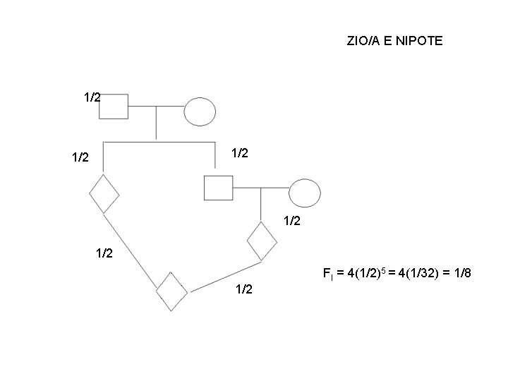 ZIO/A E NIPOTE 1/2 1/2 1/2 FI = 4(1/2)5 = 4(1/32) = 1/8 