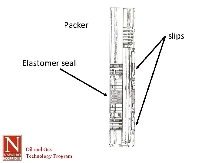 Packer Elastomer seal Oil and Gas Technology Program slips 