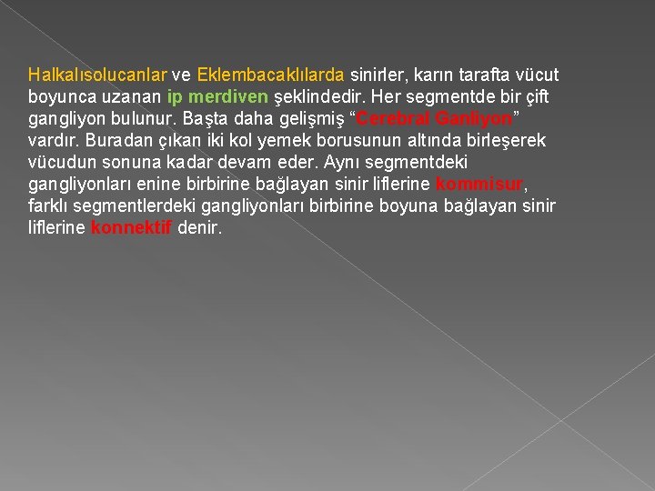 Halkalısolucanlar ve Eklembacaklılarda sinirler, karın tarafta vücut boyunca uzanan ip merdiven şeklindedir. Her segmentde