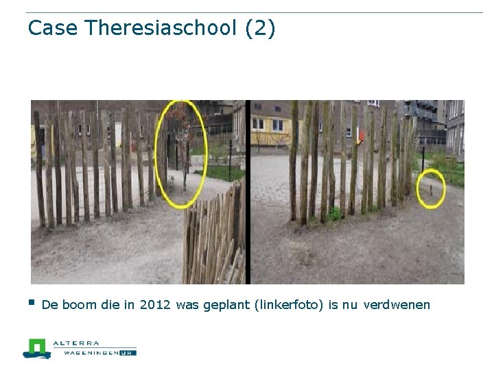Case Theresiaschool (2) § De boom die in 2012 was geplant (linkerfoto) is nu