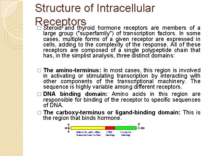 Structure of Intracellular Receptors � Steroid and thyroid hormone receptors are members of a