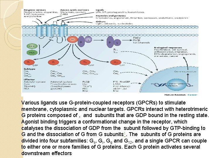Various ligands use G-protein-coupled receptors (GPCRs) to stimulate membrane, cytoplasmic and nuclear targets. GPCRs