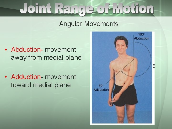 Angular Movements • Abduction- movement away from medial plane • Adduction- movement toward medial