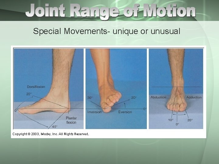 Special Movements- unique or unusual 