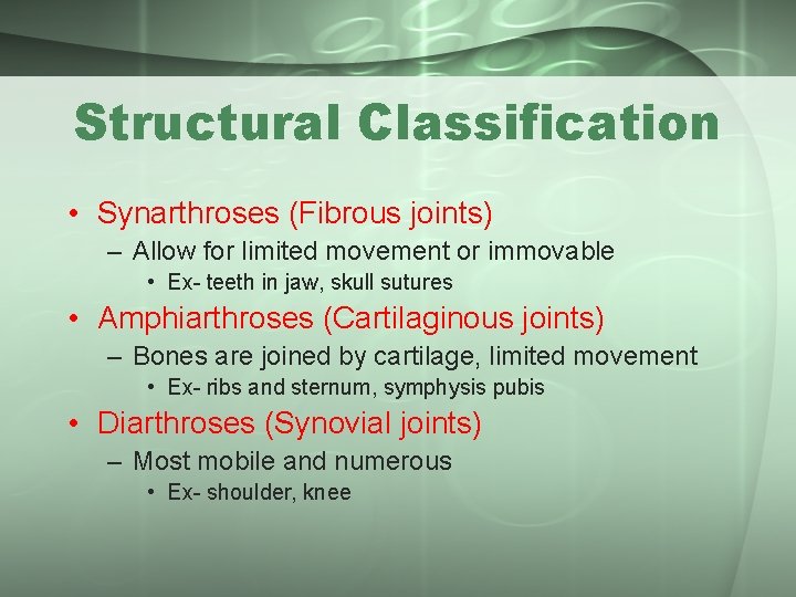 Structural Classification • Synarthroses (Fibrous joints) – Allow for limited movement or immovable •