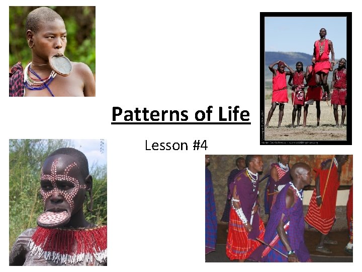 Patterns of Life Lesson 4 Family Ties Hunting