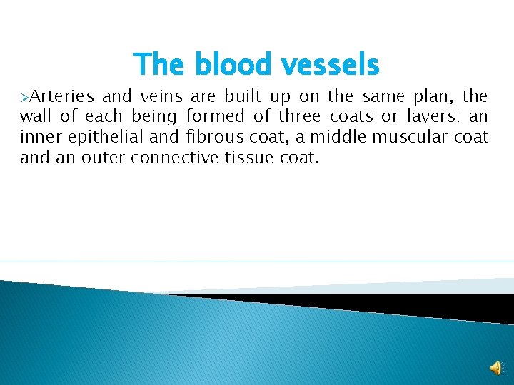 ØArteries The blood vessels and veins are built up on the same plan, the