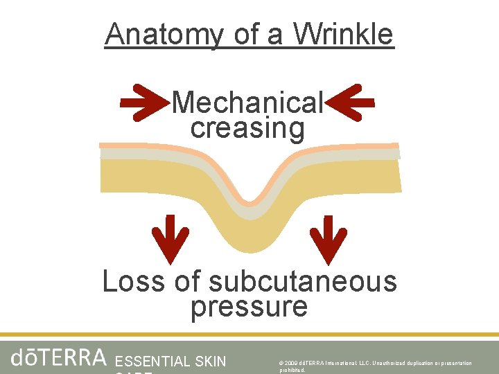 Anatomy of a Wrinkle Mechanical creasing Loss of subcutaneous pressure ESSENTIAL SKIN © 2009