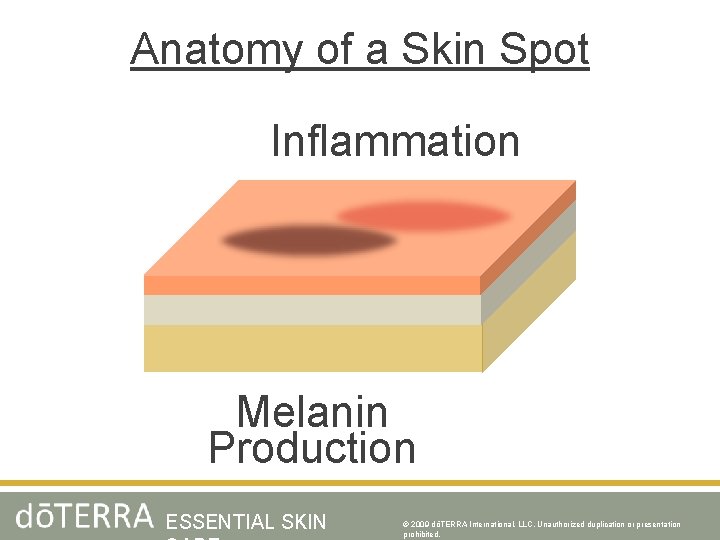 Anatomy of a Skin Spot Inflammation Melanin Production ESSENTIAL SKIN © 2009 dōTERRA International,