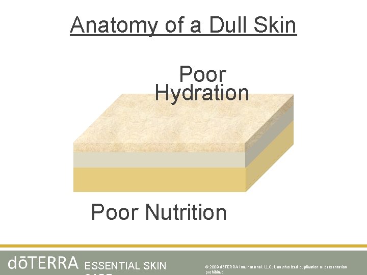 Anatomy of a Dull Skin Poor Hydration Poor Nutrition ESSENTIAL SKIN © 2009 dōTERRA
