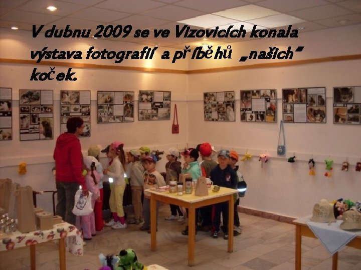 V dubnu 2009 se ve Vizovicích konala výstava fotografií a příběhů „našich“ koček. 