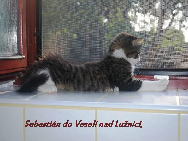 Sebastián do Veselí nad Lužnicí, 