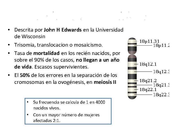  • Descrita por John H Edwards en la Universidad de Wisconsin • Trisomia,