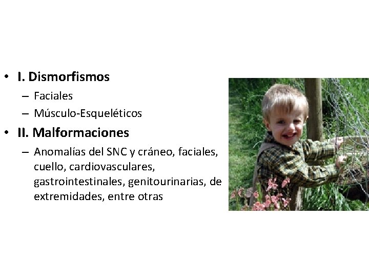  • I. Dismorfismos – Faciales – Músculo-Esqueléticos • II. Malformaciones – Anomalías del