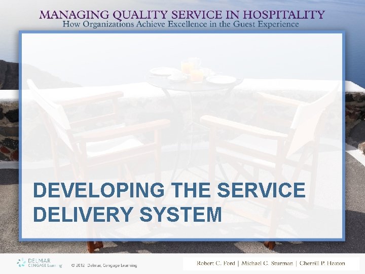 DEVELOPING THE SERVICE DELIVERY SYSTEM 