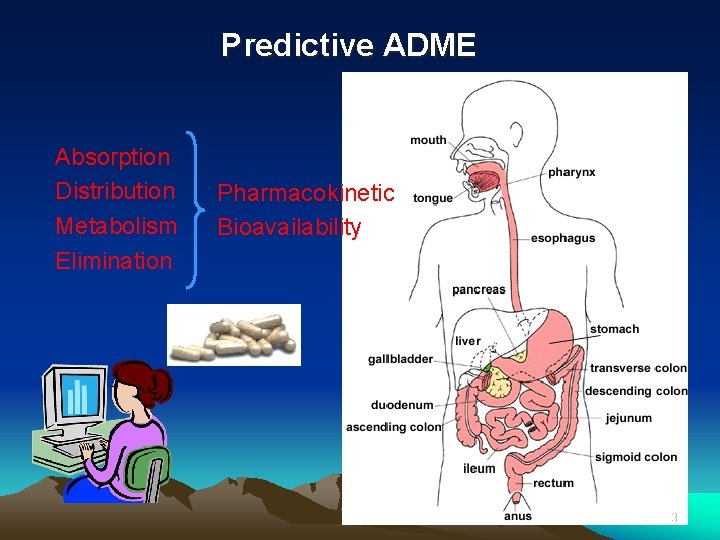 Predictive ADME Absorption Distribution Metabolism Elimination Pharmacokinetic Bioavailability 3 