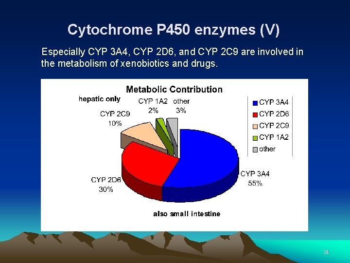 Cytochrome P 450 enzymes (V) Especially CYP 3 A 4, CYP 2 D 6,