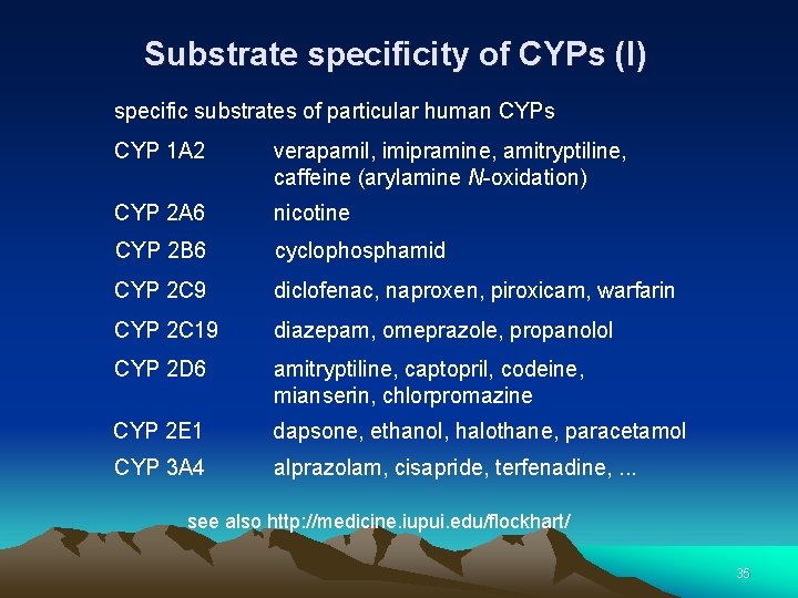 Substrate specificity of CYPs (I) specific substrates of particular human CYPs CYP 1 A