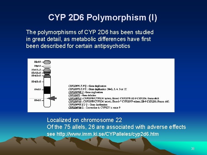 CYP 2 D 6 Polymorphism (I) The polymorphisms of CYP 2 D 6 has