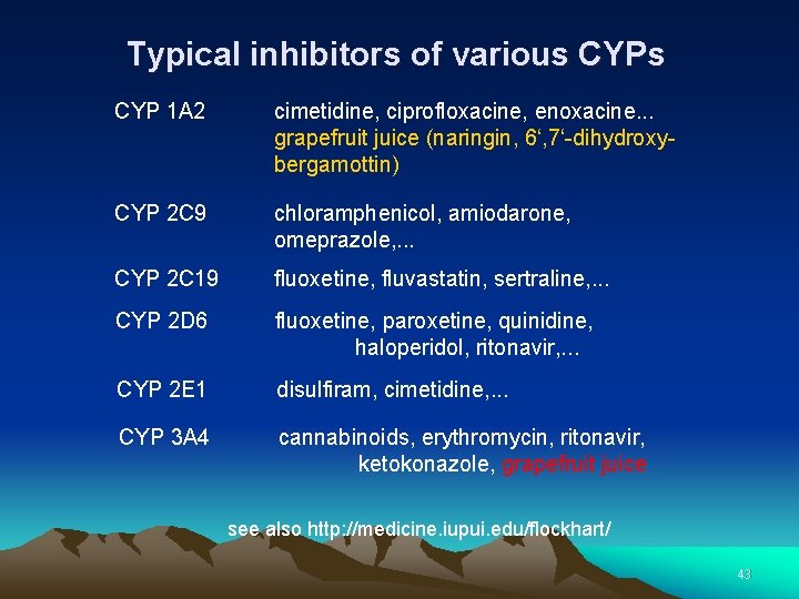 Typical inhibitors of various CYP 1 A 2 cimetidine, ciprofloxacine, enoxacine. . . grapefruit