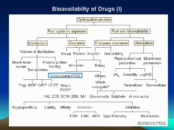 Bioavailablity of Drugs (I) 5 