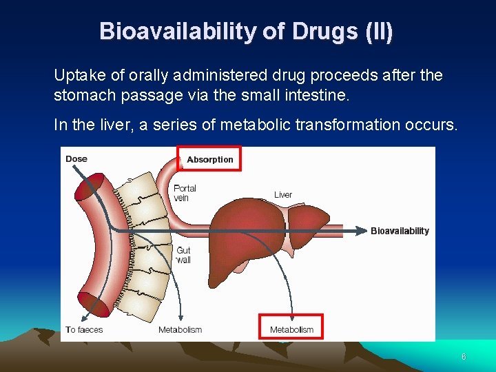 Bioavailability of Drugs (II) Uptake of orally administered drug proceeds after the stomach passage